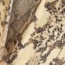 H&M python print midi Sz 8UK (Fit 8 to 10UK) Image 8