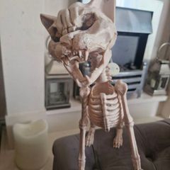 Halloween Decorations