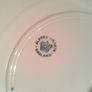 Vintage Alfred Meakin Plate Image 2