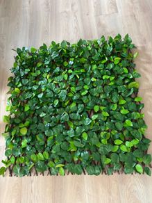 Leaf trellis