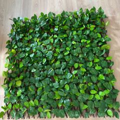 Leaf trellis