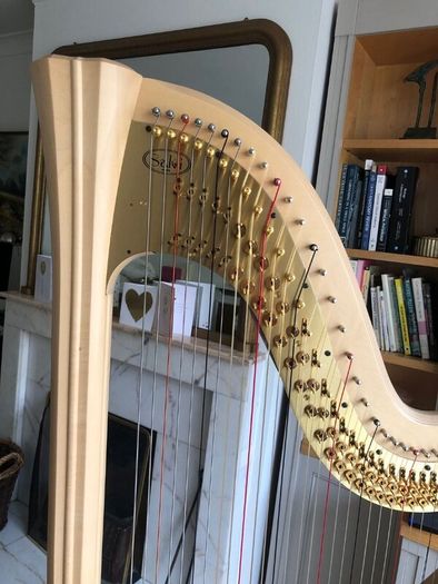 Salvi Daphne 40 Pedal Harp in Perfect Condition