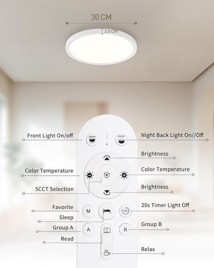 LED Ceiling Light Dimmable with Remote 24W Ceiling Lamp Flat with 2000K Backlight, Warm Night Light and Timer, Modern Round 12" Ultra Thin Light Fittings for Living Room Bedroom Kitchen