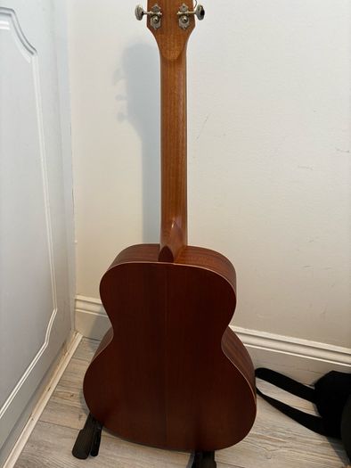 SX Custom Guitar
