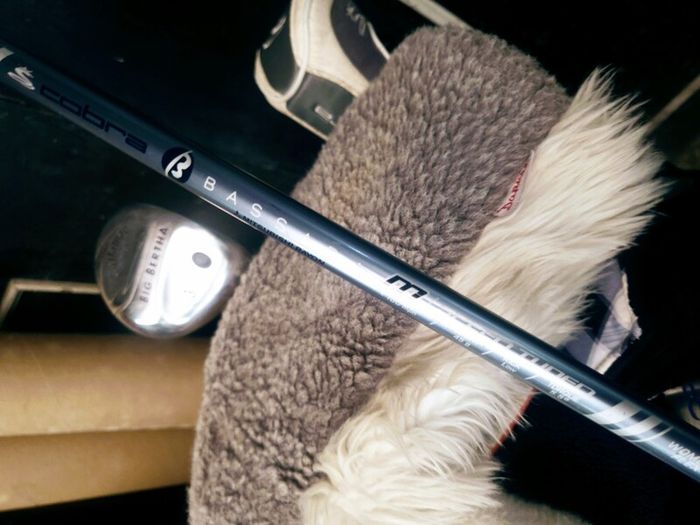 Set of Ladies Golf Clubs