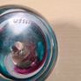 Caithness Glass Paperweight watercolour Image 5