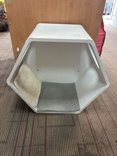 Cat house for wall