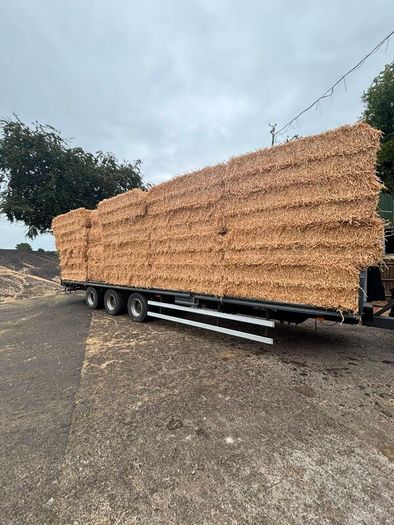 Pea Straw