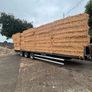 Pea Straw Image 3