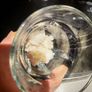 kefir Image 2