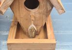 bird box