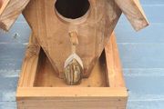 bird box