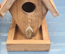 bird box