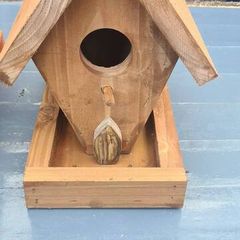 bird box