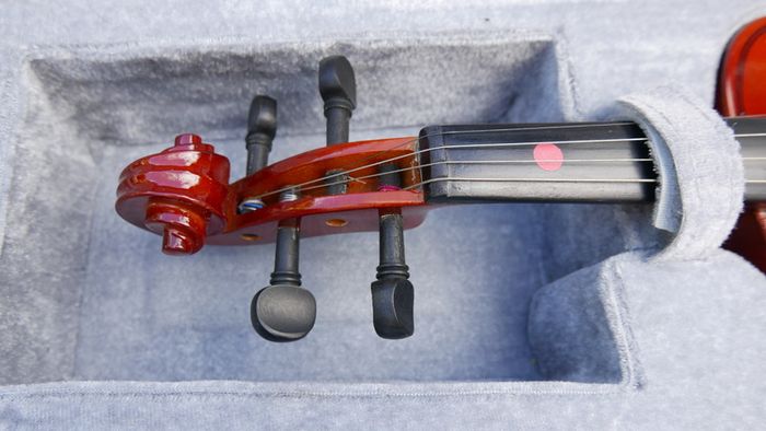 Forenza F1151F Uno Series 1/4 Size Violin Outfit