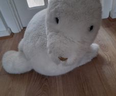 Giant Seal - Only 25