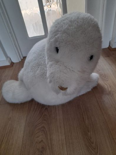 Giant Seal - Only 25