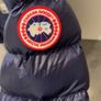 canada goose Image 5