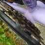 bicycle Image 5