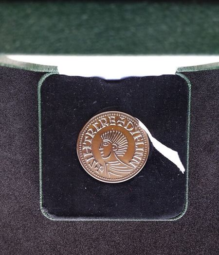 1988 Dublin Millennium Medal - Sitric Silkbeard Bronze Edition ( Low Serial No. 496 )