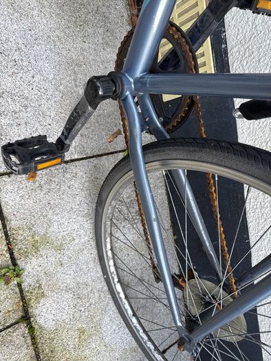 Adult bike