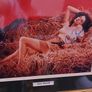Autographed Jane Russell 10x8 Photo Nicely Framed (Real Glass)  With COA Image 4