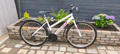ladies bike