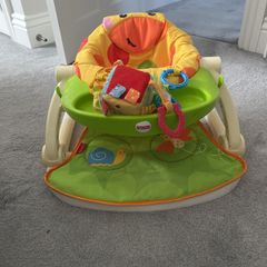 Fisher Price Portable Baby Seat