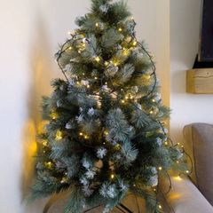 2x Christmas Lights
