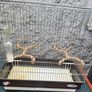 medium size cage Image 3