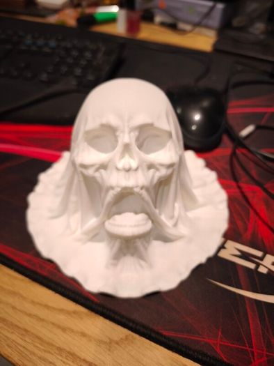 Covered Skull 3d printed Halloween model