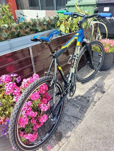 Scott expert racing mountain bike