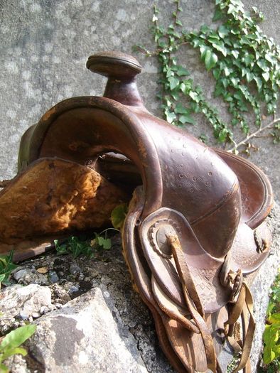 Old Saddle