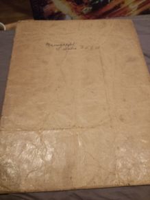 manuscript of Lily Bodie Dublin 1920