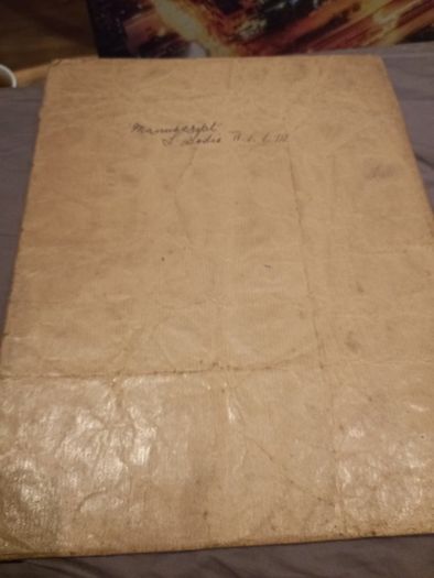 manuscript of Lily Bodie Dublin 1920