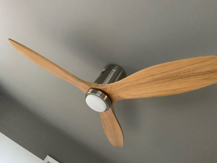 Ceiling fan with light