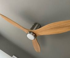 Ceiling fan with light