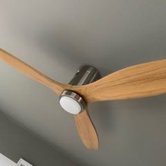 Ceiling fan with light