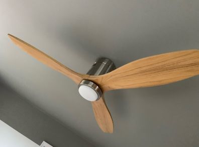 Ceiling fan with light
