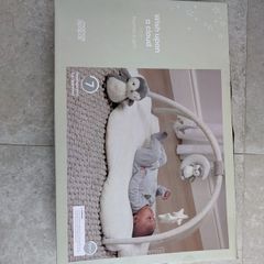 playmat and gym