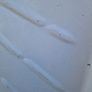 Shower tray used Image 9