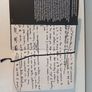 Tom Stoppard - A Life by Hermione Lee Image 2
