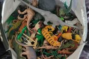 Big Bag of Dinosaurs &amp; Animals Toys