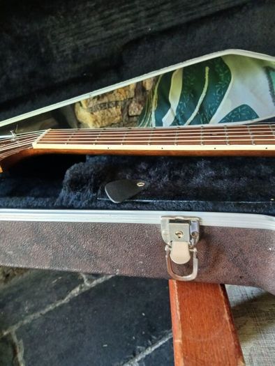 Takamine guitar