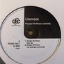 Lionrock - Packet Of Peace (Remix) - 12" Vinyl Promo Single - 1999 Deconstruction Records (Chemical Brothers Remix) Image 6