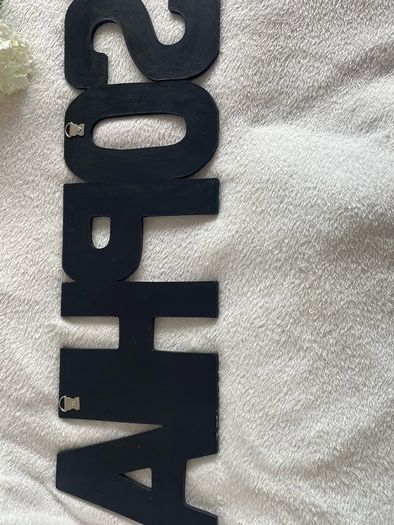 Sophia mirrored wall art