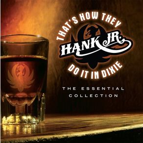 Hank Williams Jr. CD - The Essential Collection