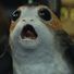 Porgthepuffin