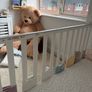 Cot & Mattress Image 6