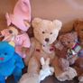 Teddy bear Collection Image 3